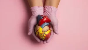 vascularização do coração